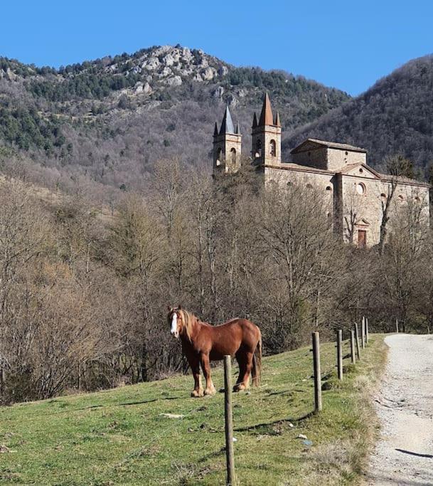 El Mussol De La Vila Camprodon, Balconets Amb Vistes A La Placa Eksteriør billede